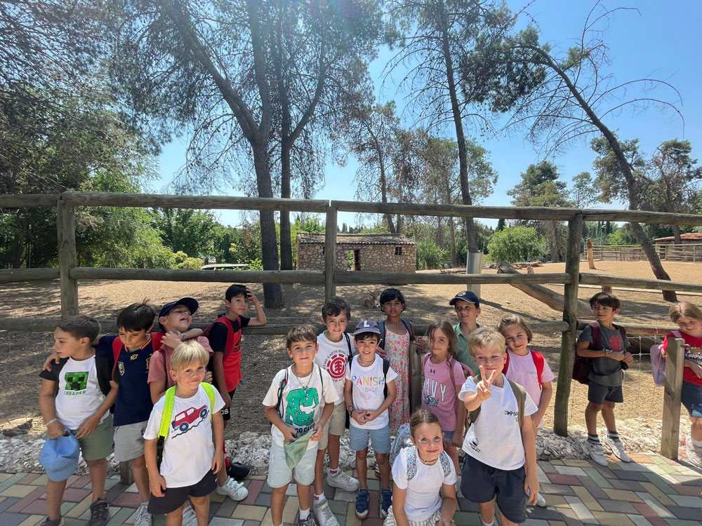 Summer Camp 2024